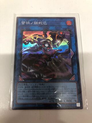 Serpentina nigricans var. japonicus (species of snake)