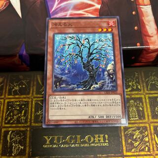 冷える火 NR 1枚