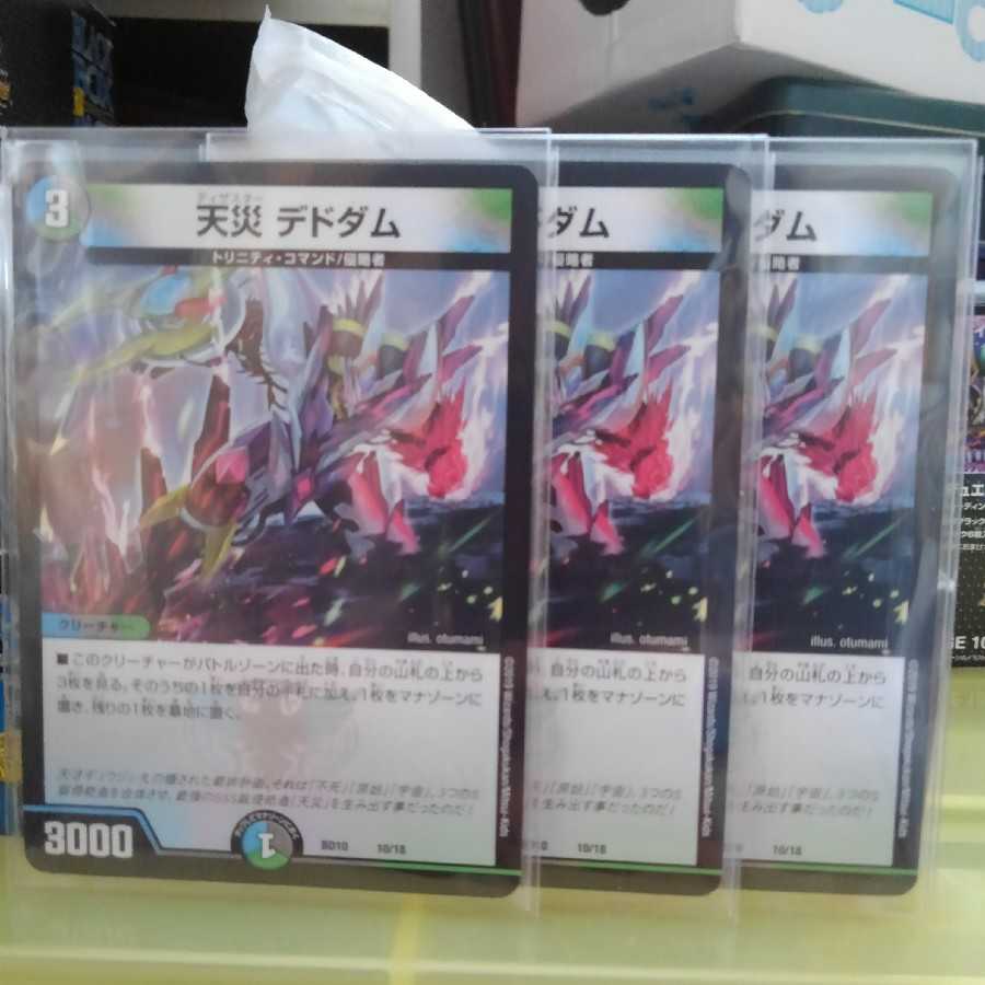 セブラさん専用