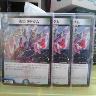 セブラさん専用