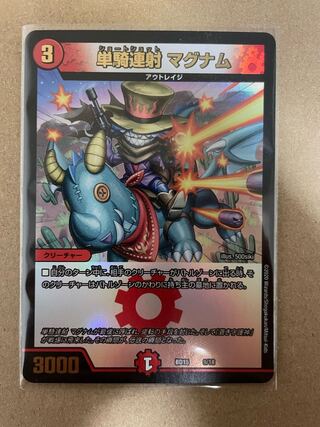 Single shot magnum 9/18