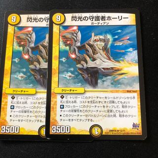 閃光の守護者ホーリー　2枚