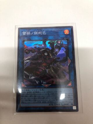 Serpentina nigricans var. japonicus (species of snake)