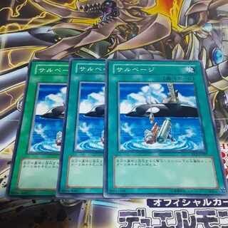 Salvage Normal JP097