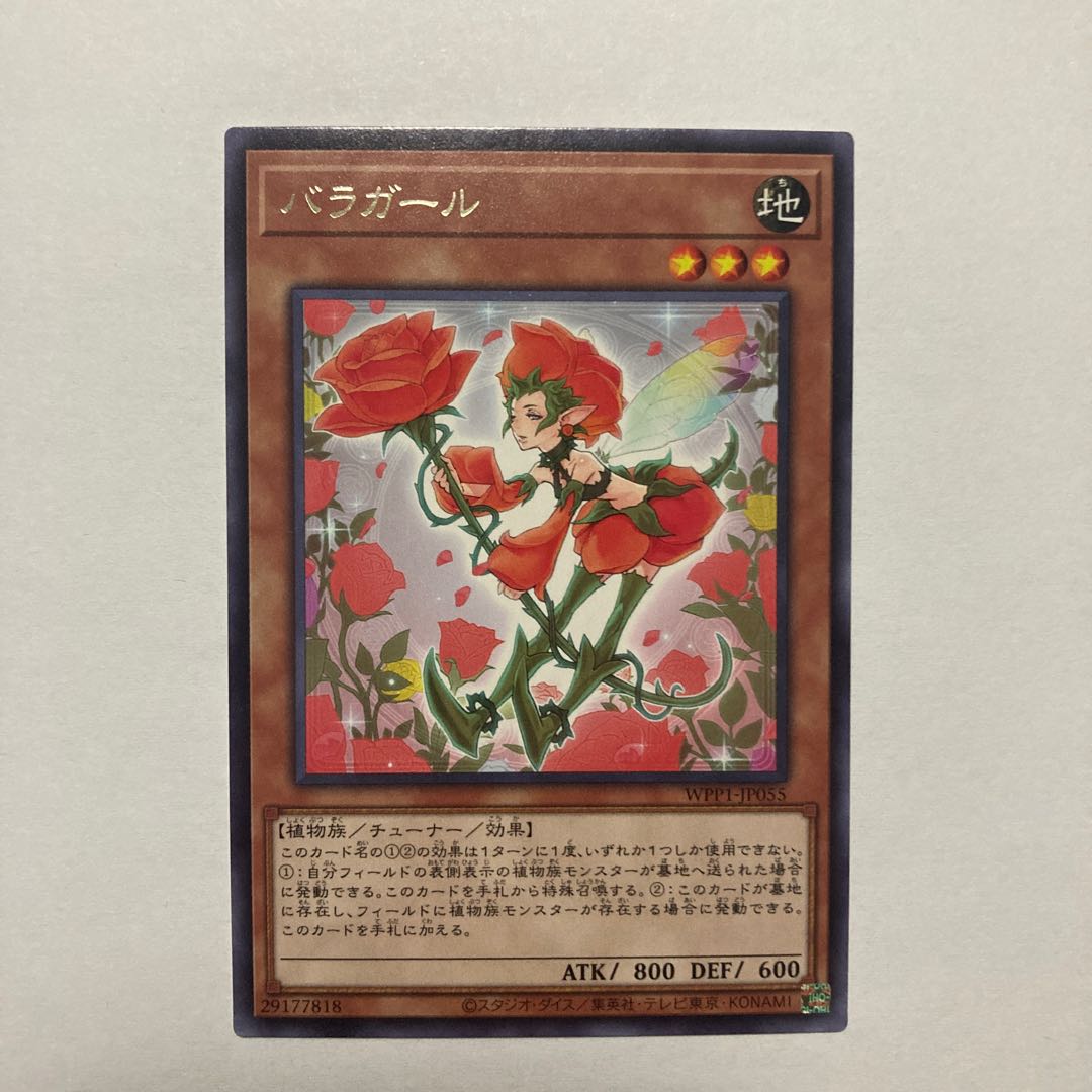 Rose Girl rare JP055