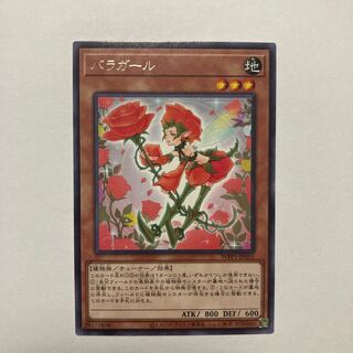 Rose Girl rare JP055