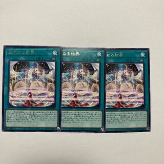 Solemn boundary rare PHNI-JP067