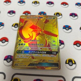 カプ・ブルルGX UR 244/150