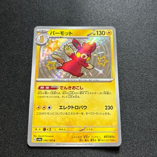 Parmot S 249/190 1枚