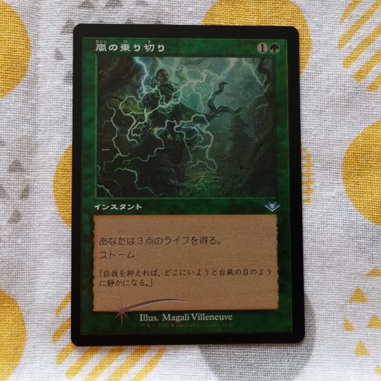 Weather the Storm Foil