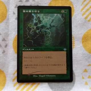 Weather the Storm Foil