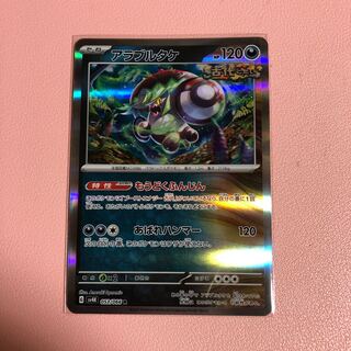 アラブルタケ R 053/066