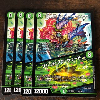 摩破目 ナトゥーラトプス｜ストンピングウィード