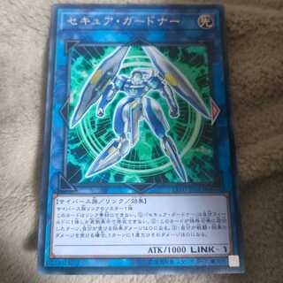 Secure Gardna Rare JP043