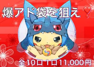 【ファースト賞付き！】ポケモンカード 爆アド袋を狙え福袋！