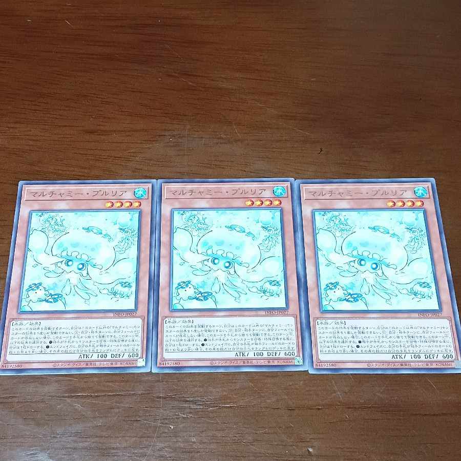 Multyamy Purulia rare INFO-JP027