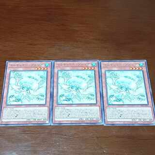 マルチャミー・プルリア レア INFO-JP027