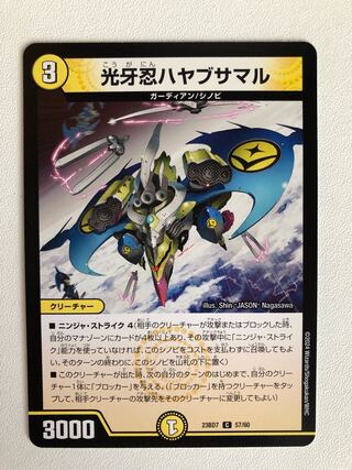 Koukou Shinobi Hayabusamaru