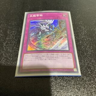 遊戯王 1枚