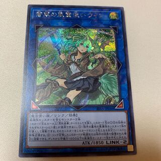 蒼翠の風霊使いウィン SE シークレット シク