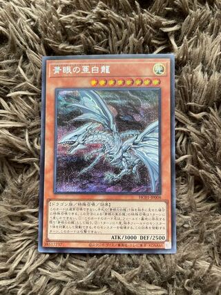 Blue-Eyes Alternative White Dragon Secret Rare JP008