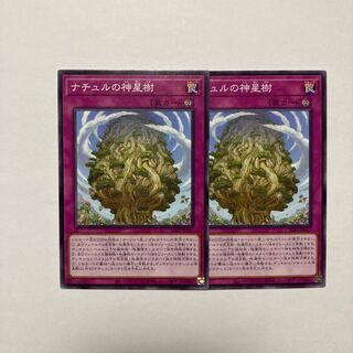 Naturia Sacred Tree Normal JP076