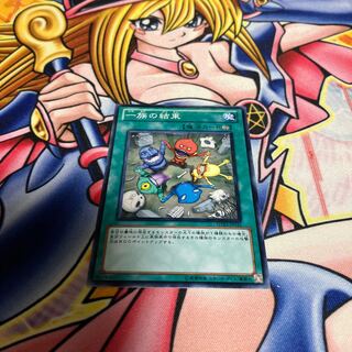 Solidarity Normal JP031