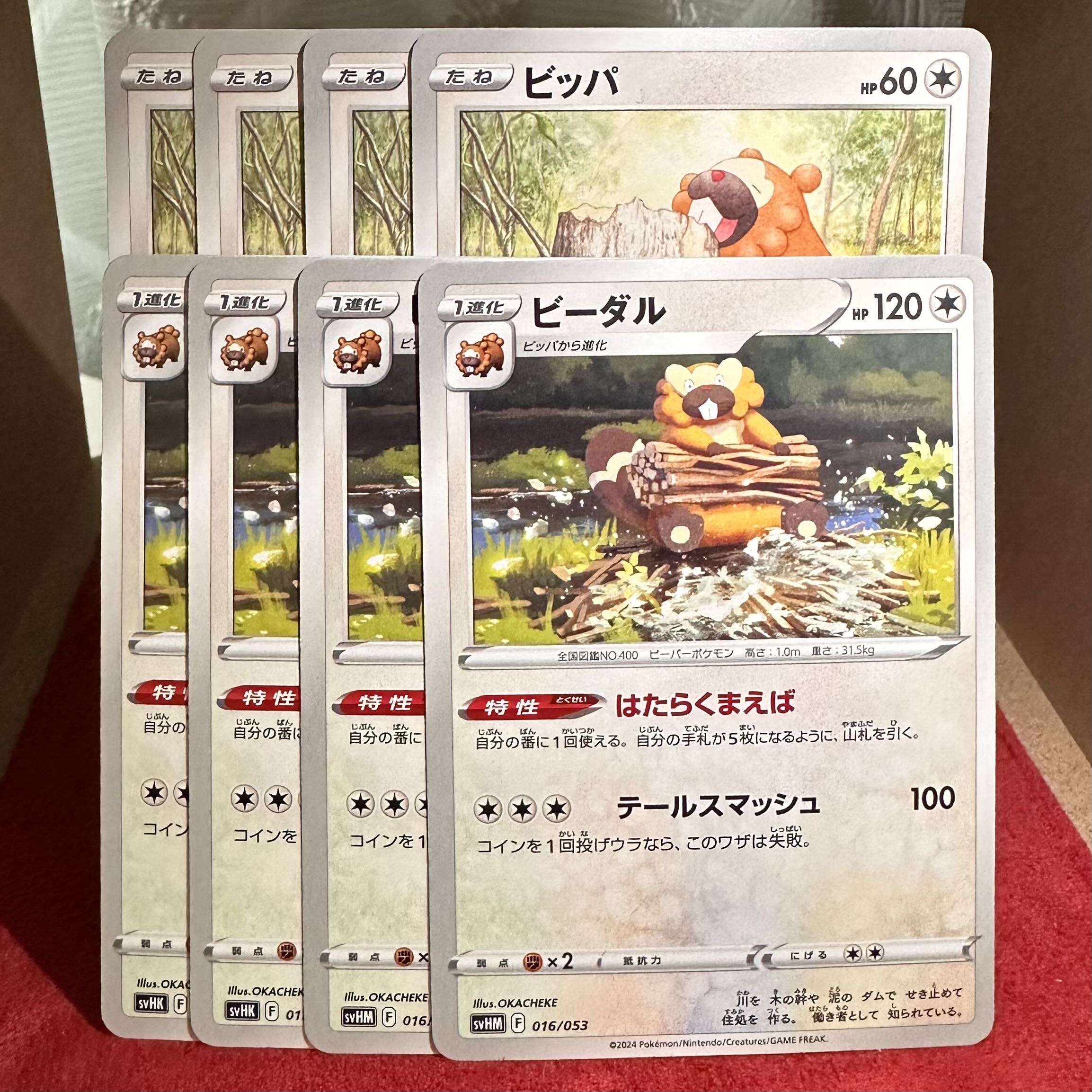 Pokemon card [Bidoof] [Bibarel 1 (Used) 1593230267| magi -TCG  Marketplace- | magi