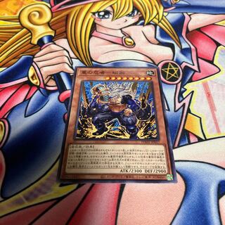 重の忍者-磁翁 ノーマル JP017