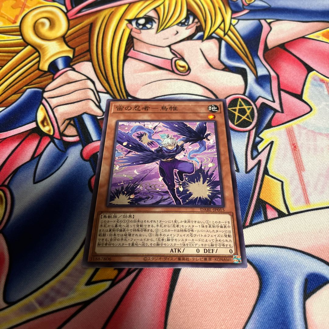 Ninja in the air - bird mail Normal JP015