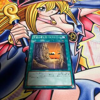 王家の眠る谷-ネクロバレー ノーマル JP013