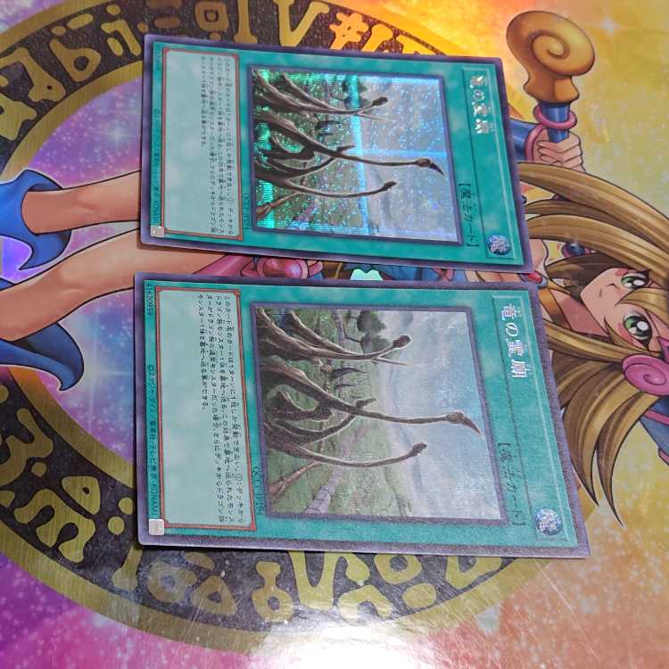 竜の霊廟 シークレットレア QCCP-JP194 二枚セット