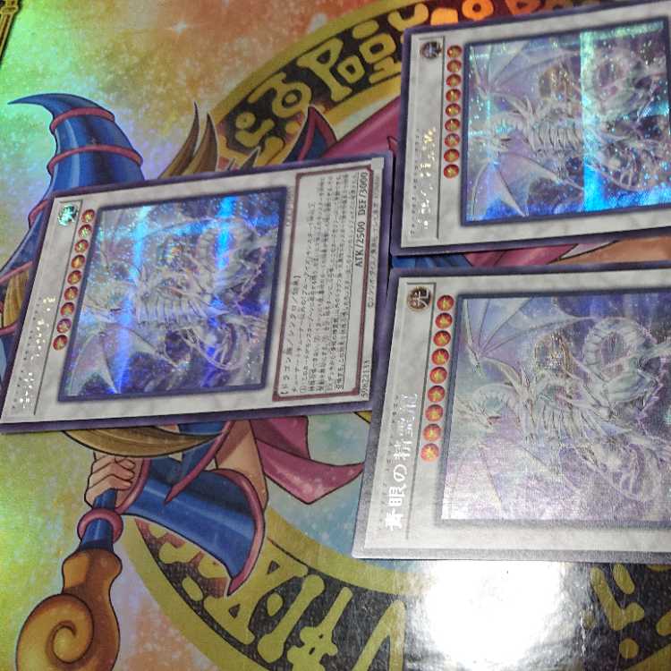 青眼の精霊龍 シークレットレア QCCP-JP010 三枚セット