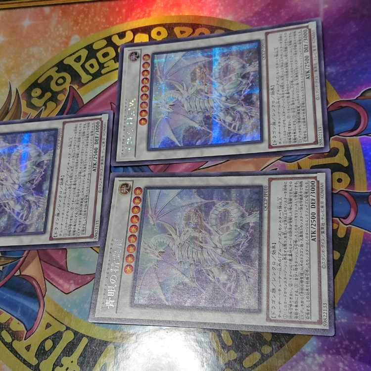 青眼の精霊龍 シークレットレア QCCP-JP010 三枚セット