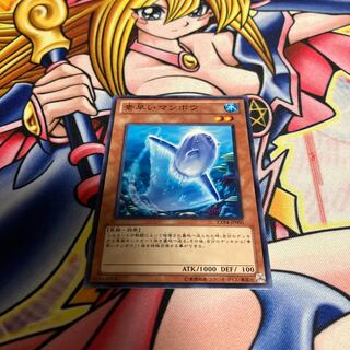 素早いマンボウ ノーマル JP005