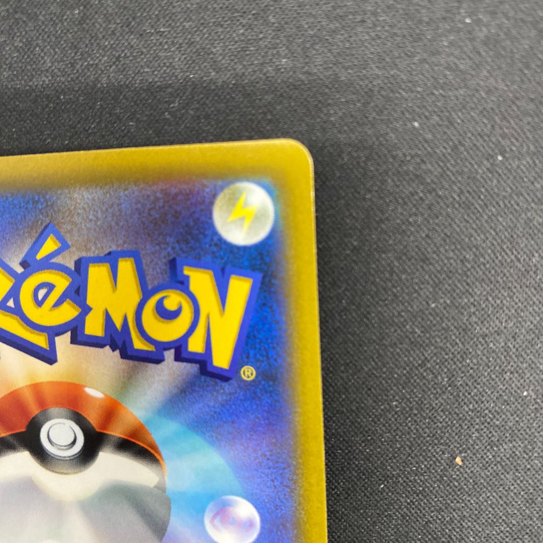 Rhododendron SR 081/067 1枚