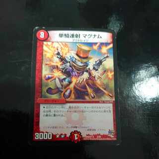 Single shot magnum 9/18