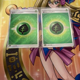 基本草エネルギー SR 251/172