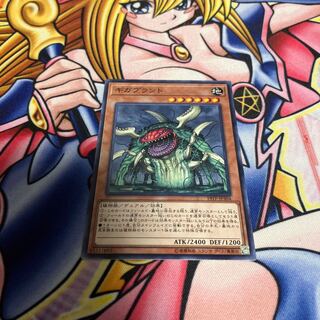 ギガプラント ノーマル JP304