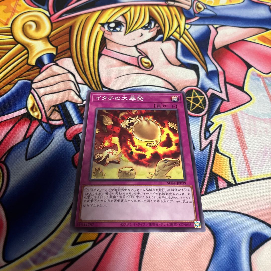 Ferret Flames Normal JP039