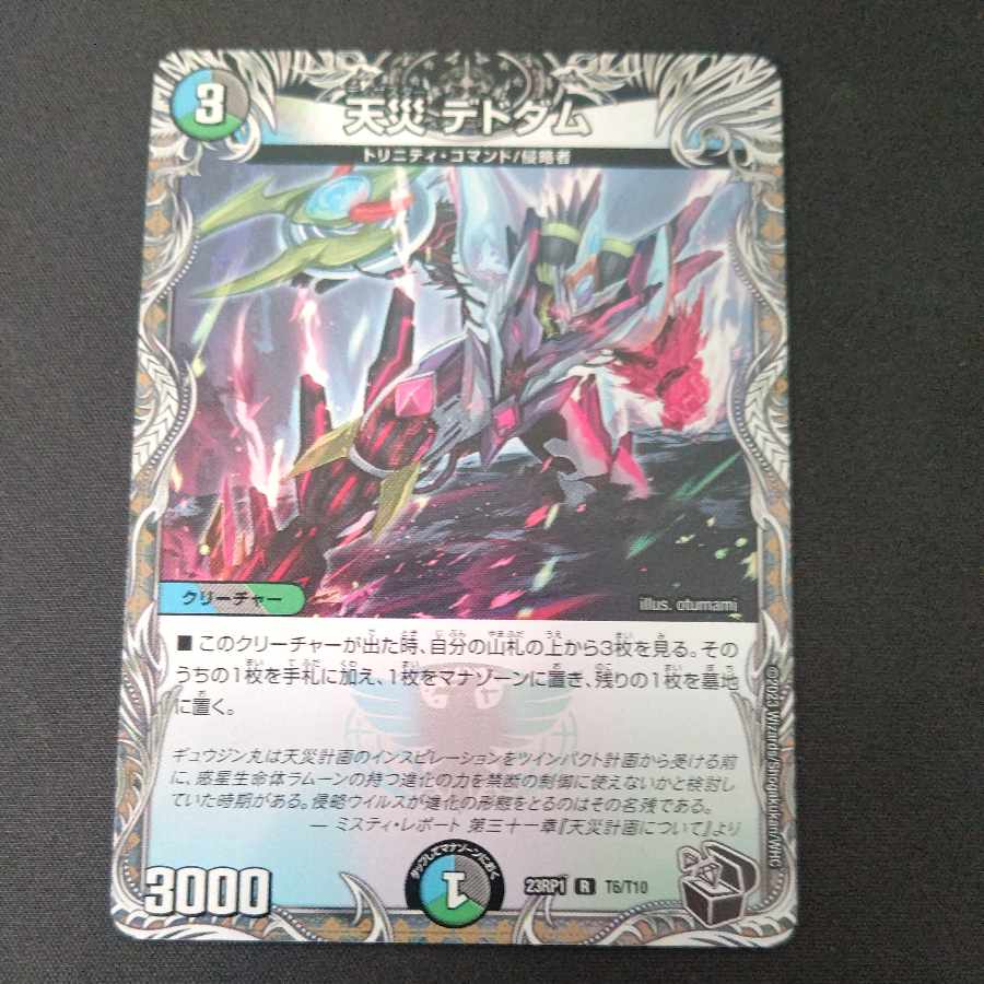 Natural Disaster Dedham Black Treasure