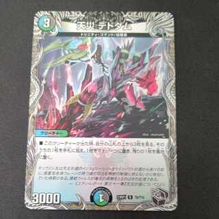 Natural Disaster Dedham Black Treasure