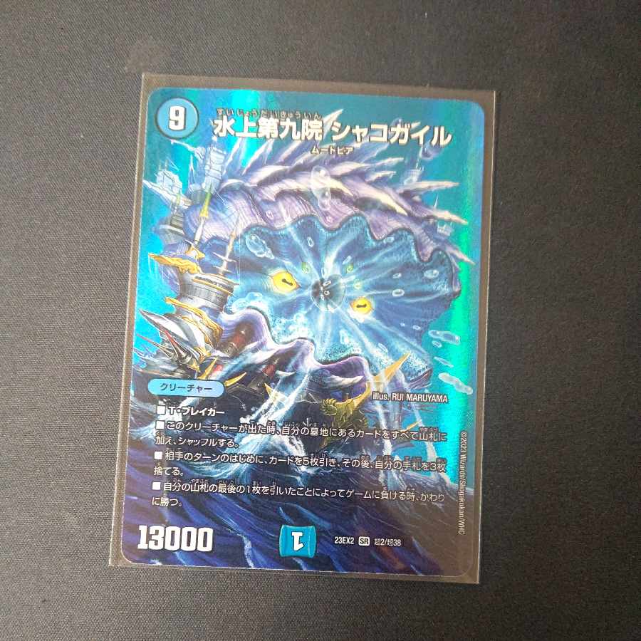 水上第九院 シャコガイル SR 超2/超38