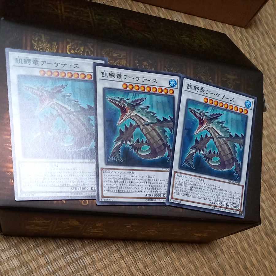 飢鰐竜アーケティス　【魚シンクロ】 ノーマル JP043
