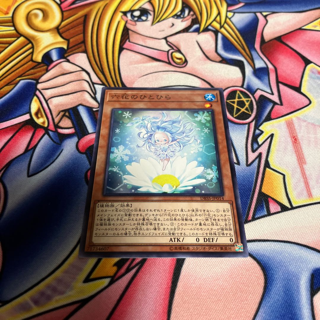 Rikka Petal Normal JP014