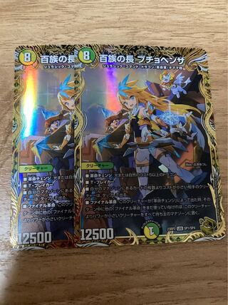 Puchohenza, Chief of the Hundred Tribes (Gold Treasure) LEG SP1/SP4