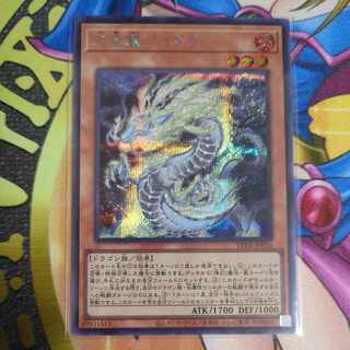Tenpai Ryu Paidra Secret LEDE-JP016 Yu-Gi-Oh!