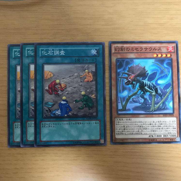 幻創のミセラサウルス　化石調査