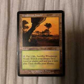 吹きさらしの荒野　オンスロート