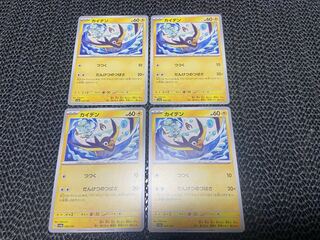 Kaiden 069/190 P-202